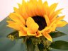 Stehtischdeko - Glaswürfel mit Sonnenblume 