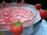 Erfrischende Erdbeerbowle  